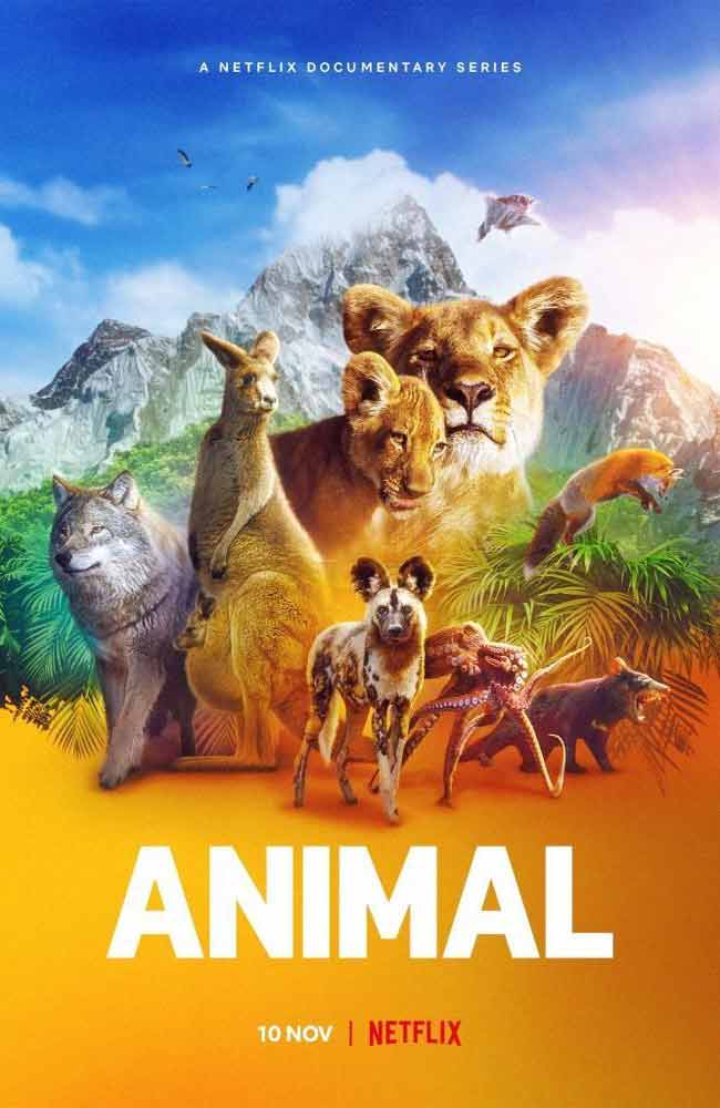 Ver Animal 1x04 Latino Online