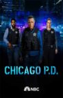 Ver Chicago PD Latino Online