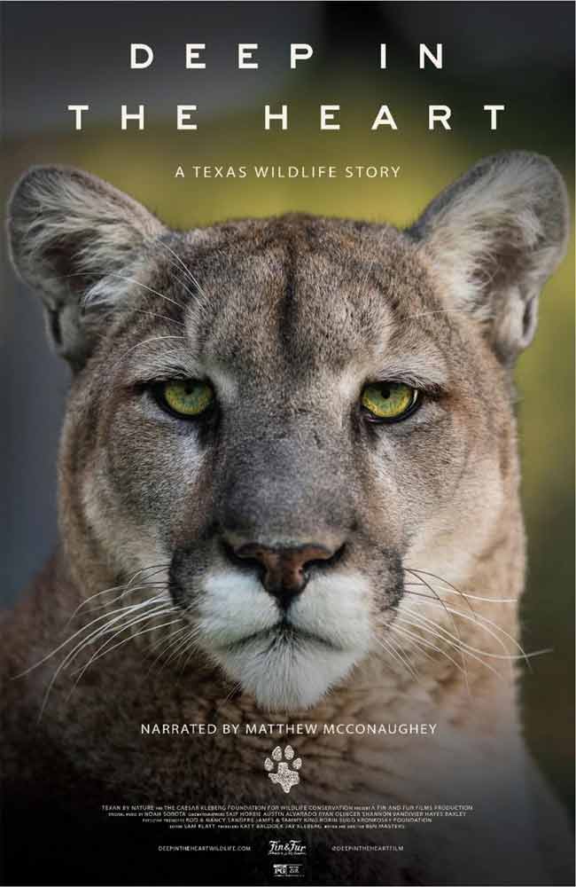 Ver Deep in the Heart: A Texas Wildlife Story Online