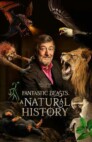 Ver Fantastic Beasts: A Natural History Online
