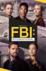 Ver FBI: International Online