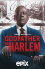 Ver Godfather of Harlem Online