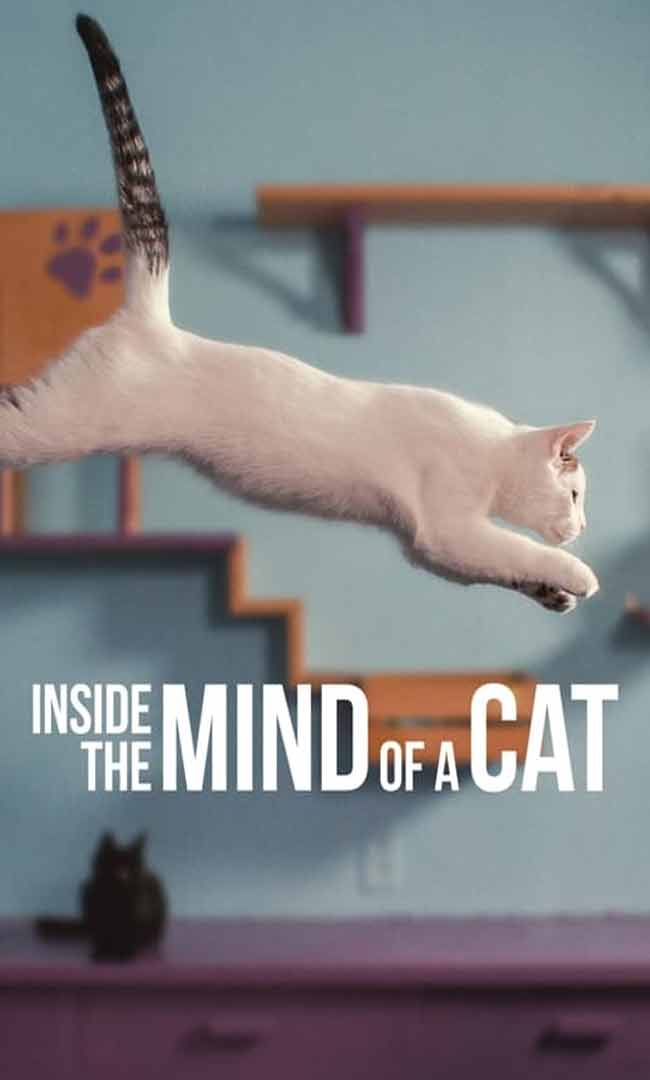 Ver Dentro de la mente de un gato Online