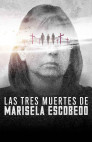 Ver Las tres muertes de Marisela Escobedo Online
