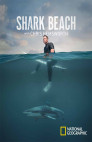Ver Trailer Shark Beach With Chris Hemsworth Online