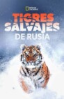 Ver Tigres salvajes de Rusia Online