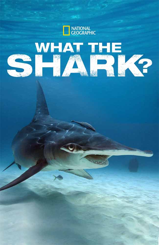 Ver Los tiburones mas temibles Online