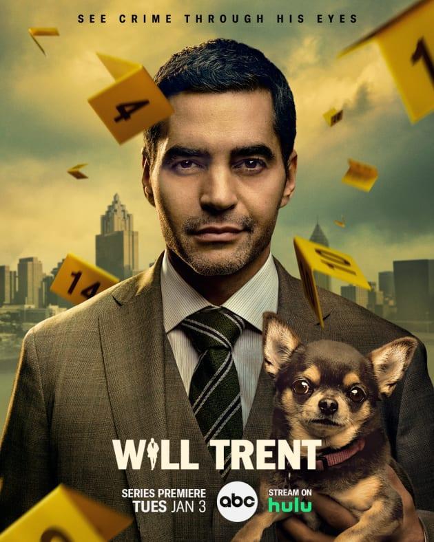 Ver Will Trent 1x6 Latino Online